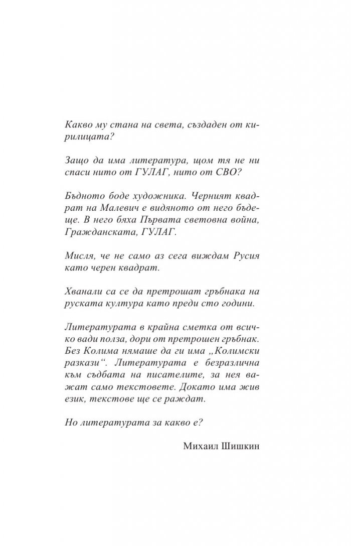 Моите. Есета за руската литература
