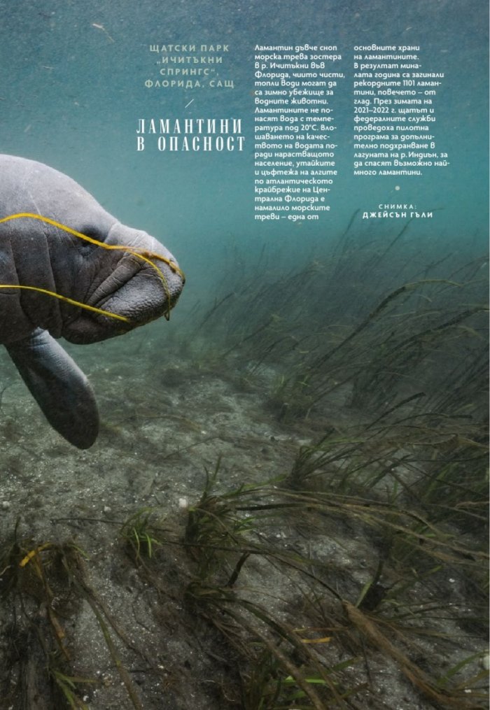 National Geographic България Декември/2022