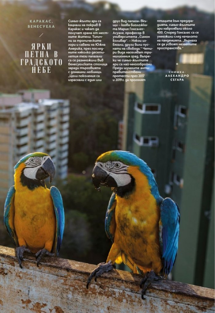 National Geographic България Декември/2022