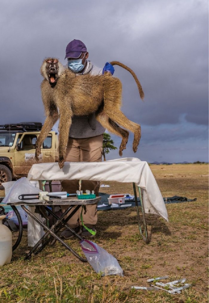 National Geographic България Декември/2022