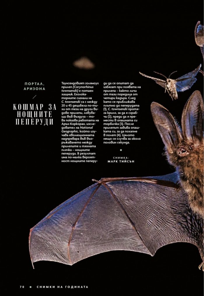 National Geographic България Декември/2022