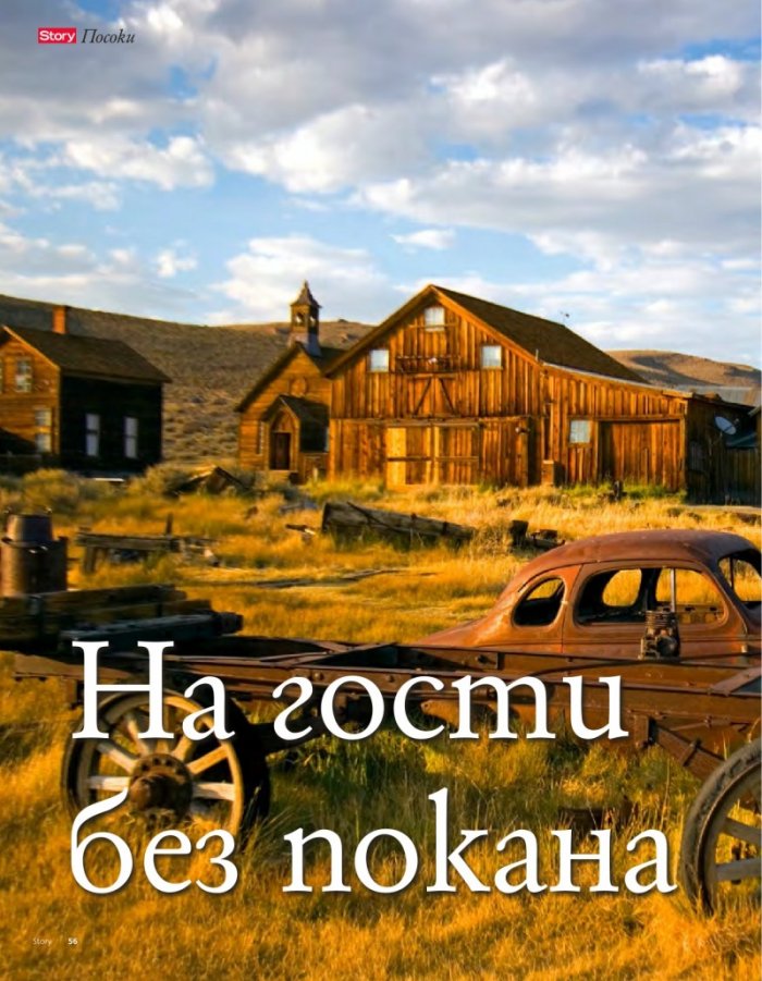 Story; Бр.20/2016