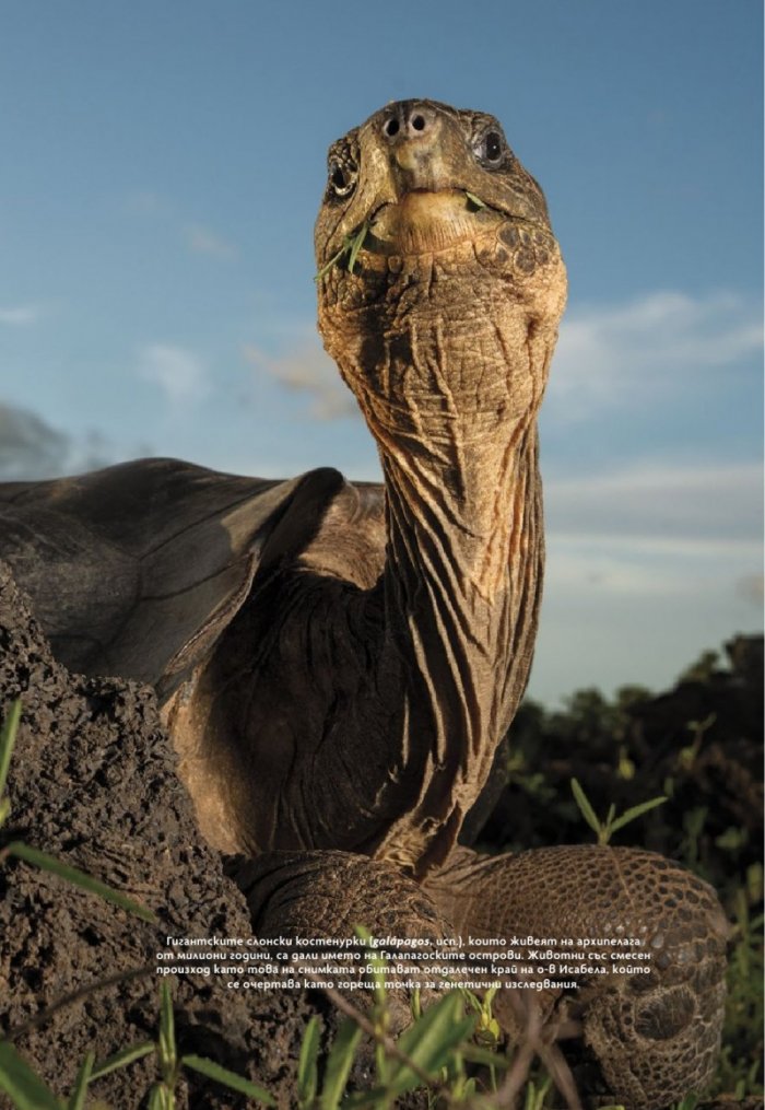 National Geographic България Септември/2025