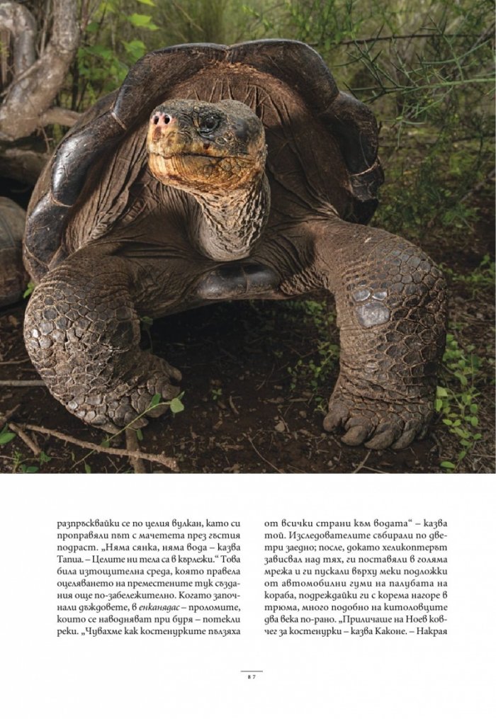 National Geographic България Септември/2025