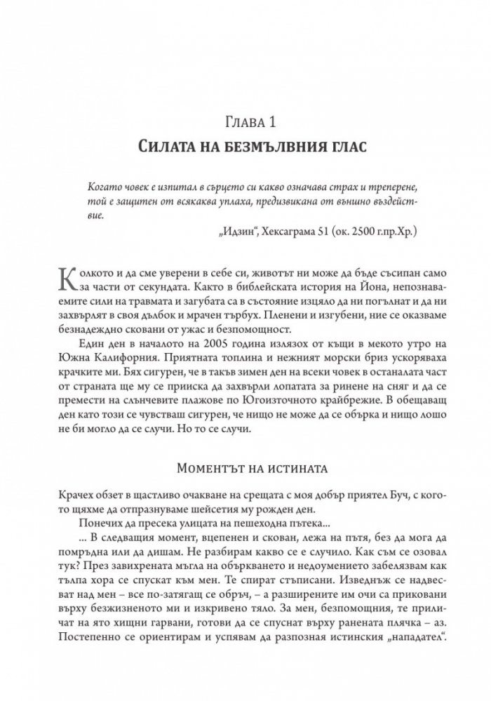 С безмълвен глас (твърда корица)