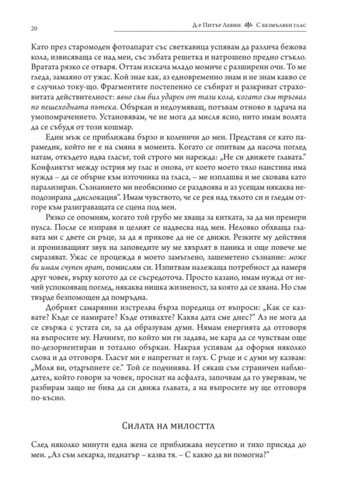 С безмълвен глас (твърда корица)