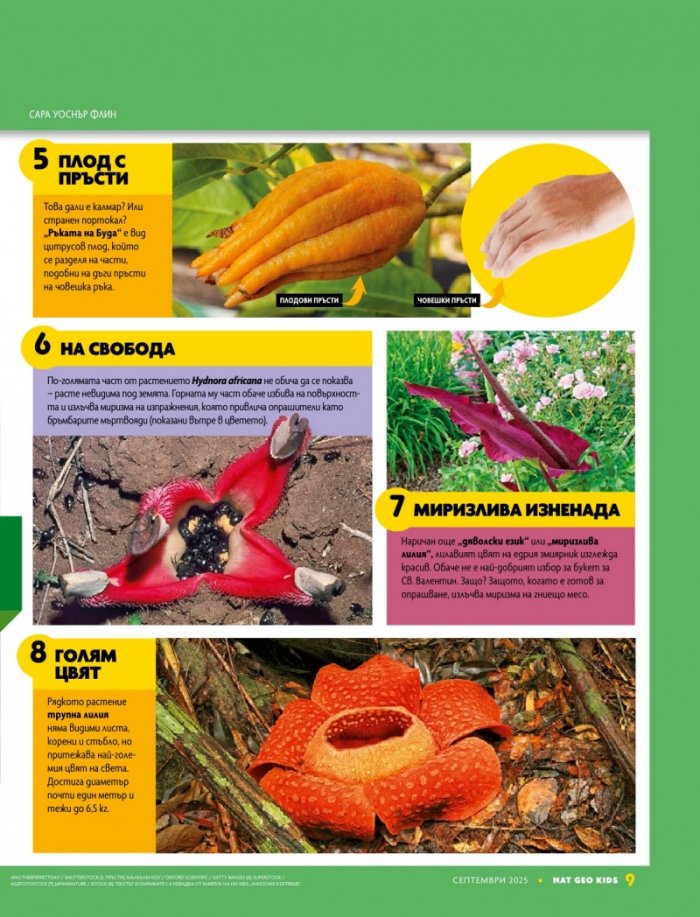 National Geographic KIDS България Септември/2025