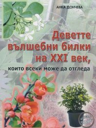 Деветте вълшебни билки на XXI век, които всеки може да отгледа