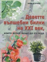 Деветте вълшебни билки на XXI век, които всеки може да отгледа