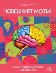 Човешкият мозък. Отвътре навън