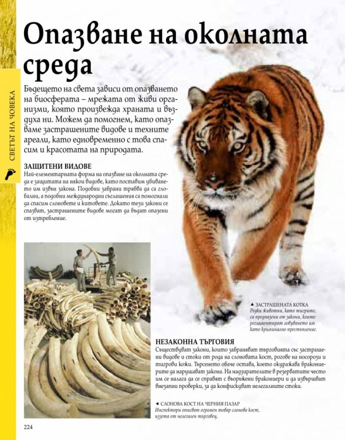 География. Енциклопедия