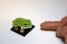 Nanoblock Japanese Tree Frog