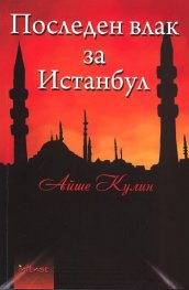 Последен влак за Истанбул