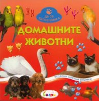 Домашните животни/ Да се запознаем с