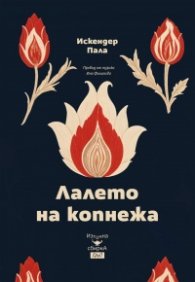 Лалето на копнежа