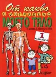 От какво е изградено моето тяло