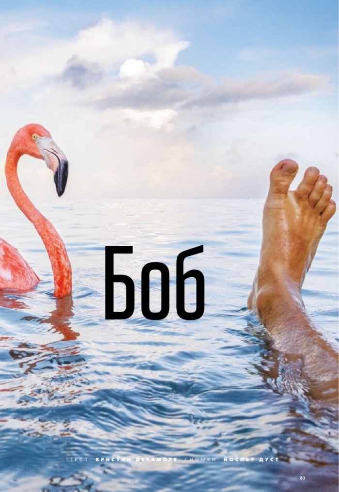 National Geographic България 6/2020