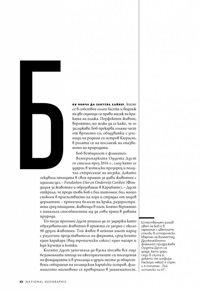 National Geographic България 6/2020