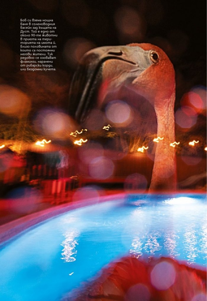 National Geographic България 6/2020