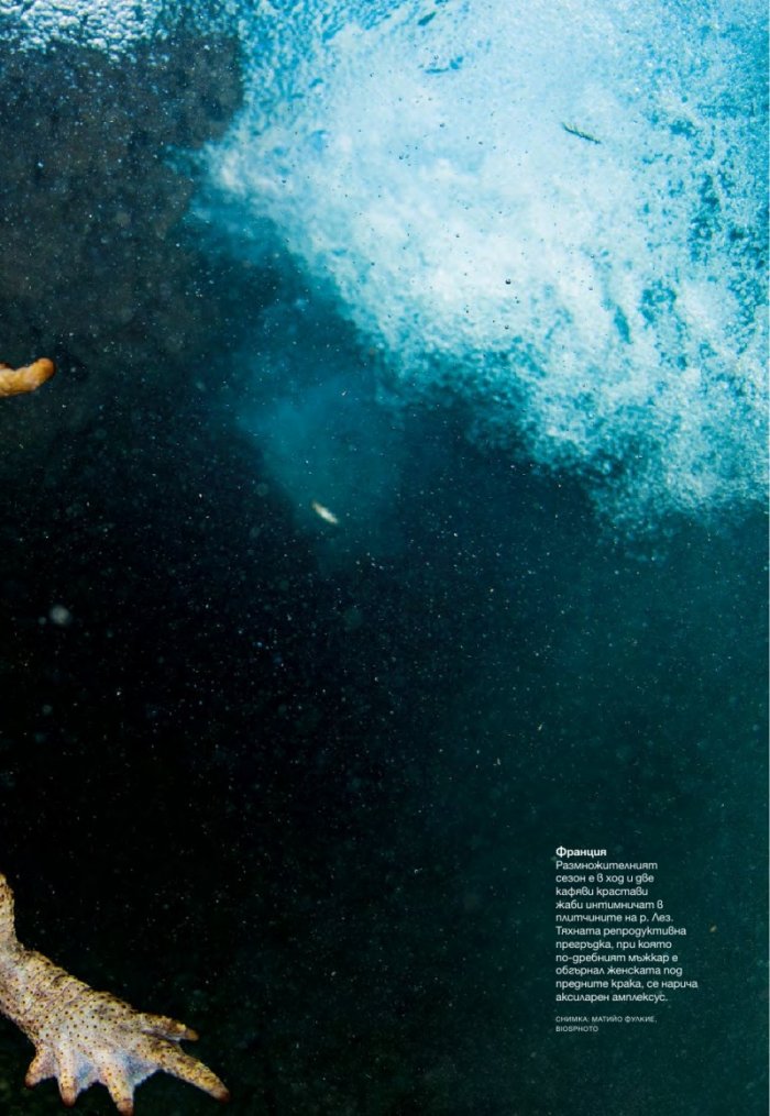 National Geographic България 08/2016