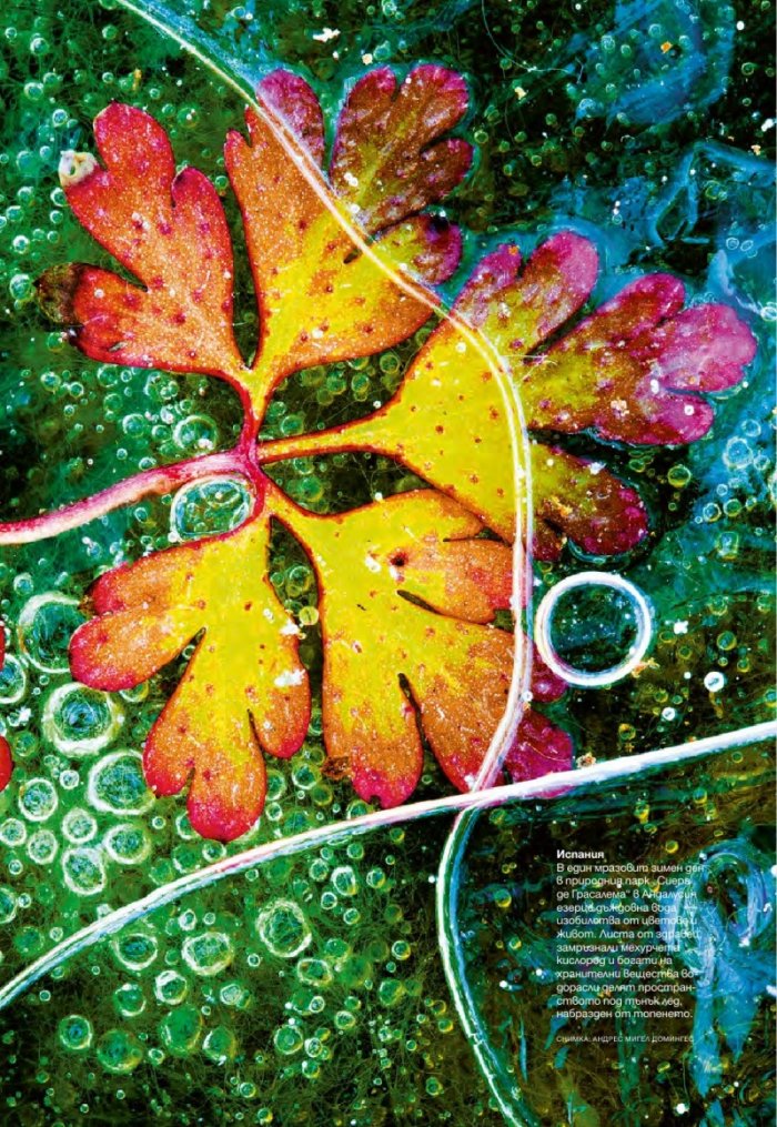 National Geographic България 08/2016