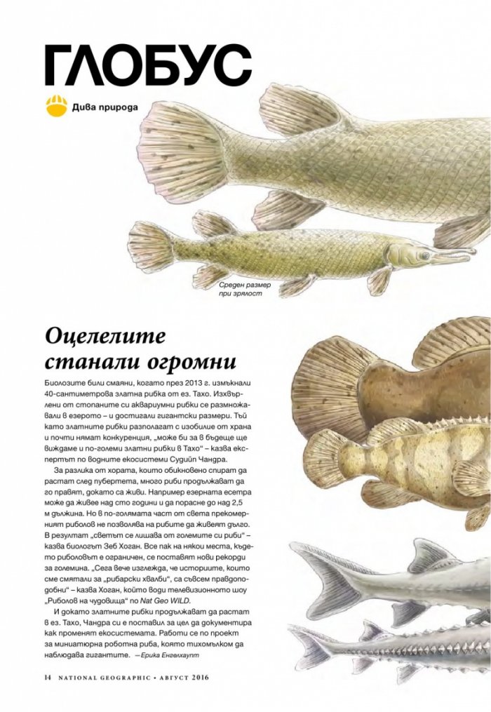 National Geographic България 08/2016