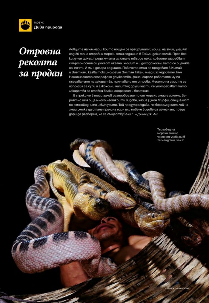 National Geographic България 08/2016