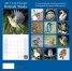 Calendar 2017: British Birds