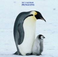 Calendar 2017: Penguins