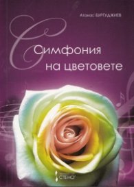 Симфония на цветовете
