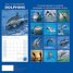 Calendar 2017: Dolphins