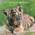 Calendar 2017: Baby Wild Animals