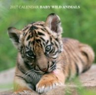 Calendar 2017: Baby Wild Animals