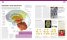 The Complete Human Body