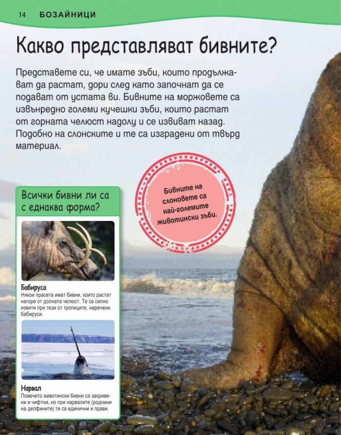 Защо? Животни (Изчерпателни отговори на провокативни въпроси)