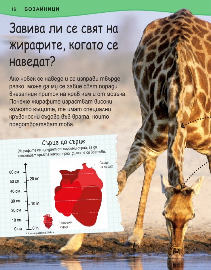 Защо? Животни (Изчерпателни отговори на провокативни въпроси)
