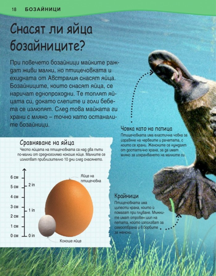 Защо? Животни (Изчерпателни отговори на провокативни въпроси)