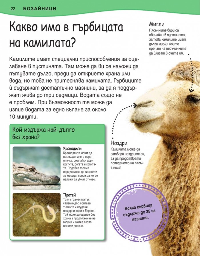 Защо? Животни (Изчерпателни отговори на провокативни въпроси)