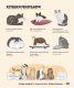 Атлас на котките