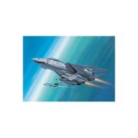 Easykit Tomcat 06623