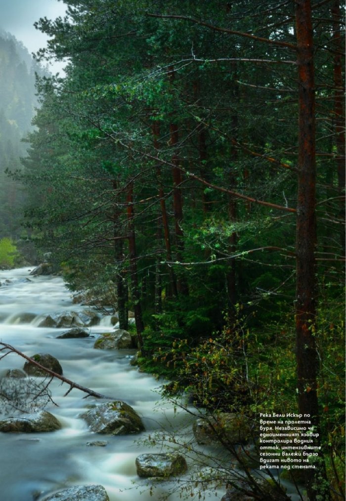National Geographic България Ноември/2025