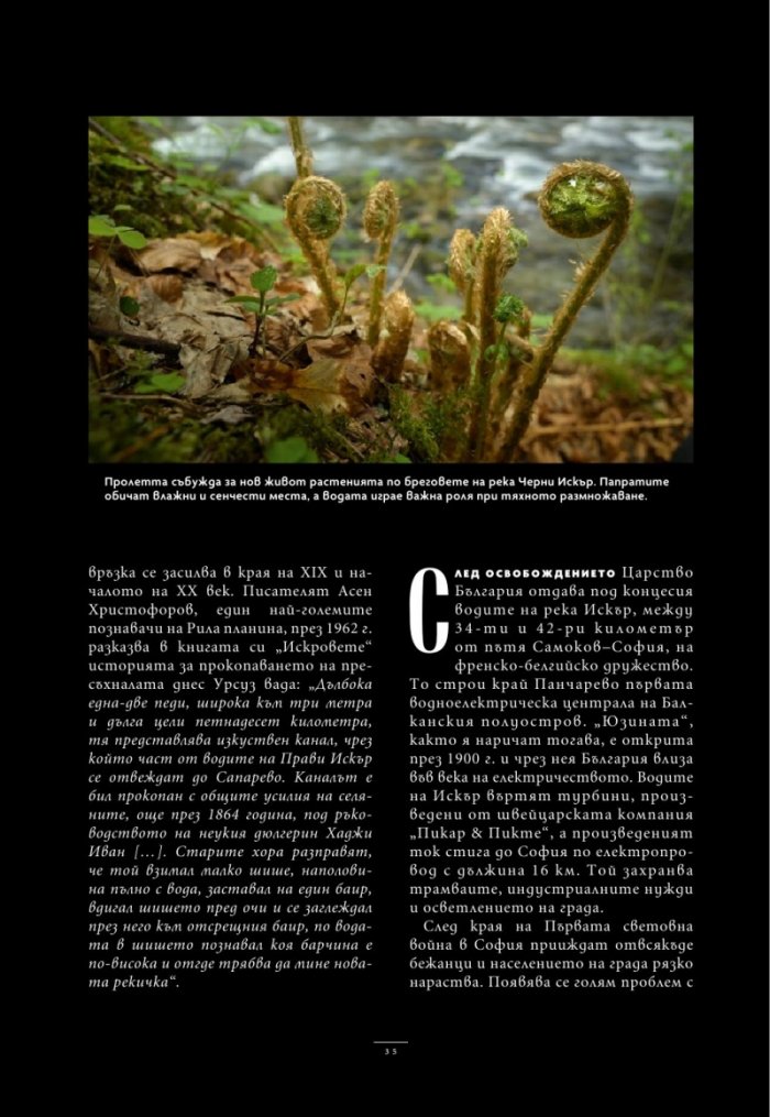 National Geographic България Ноември/2025