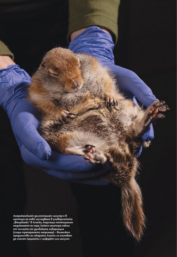 National Geographic България Ноември/2025