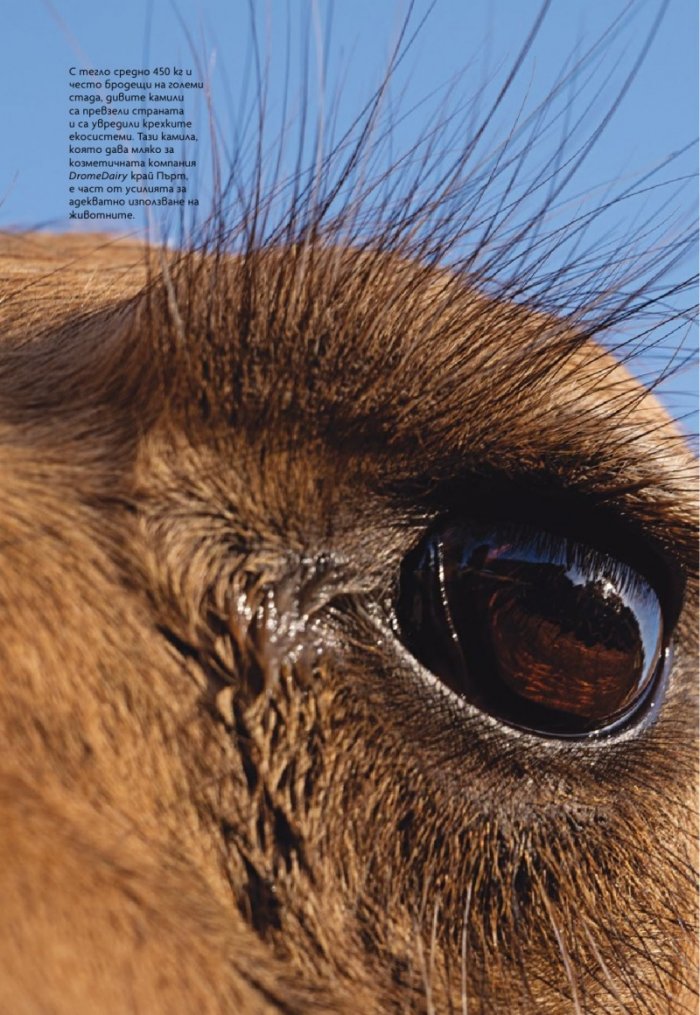 National Geographic България Ноември/2025