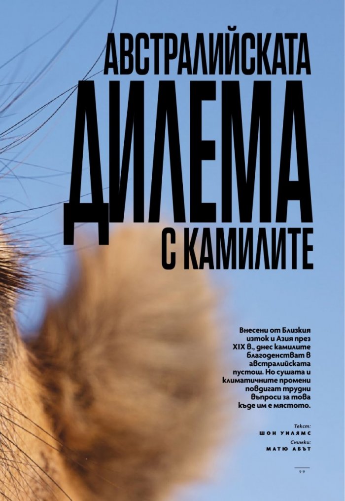 National Geographic България Ноември/2025