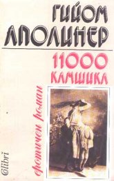 11000 камшика