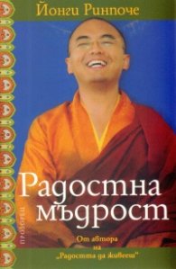 Радостна мъдрост