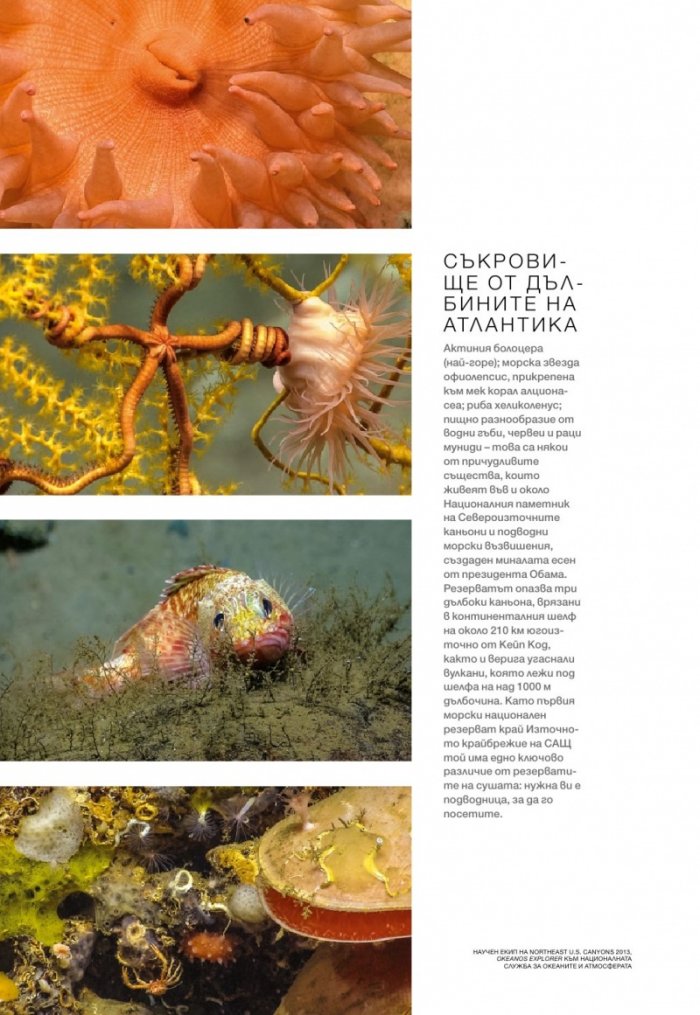 National Geographic България 08/2017
