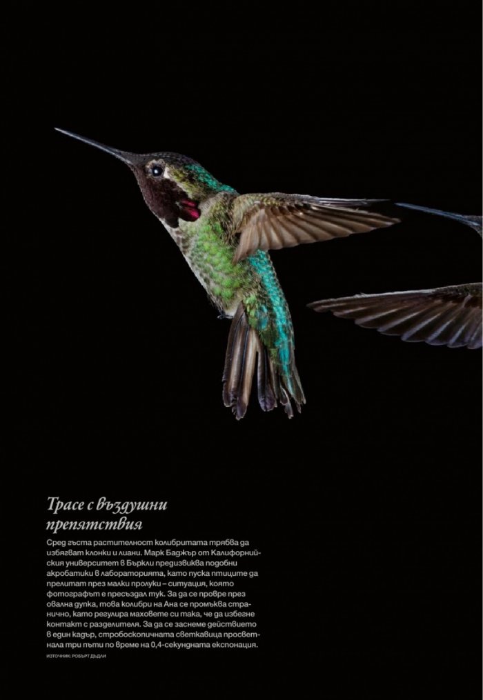 National Geographic България 08/2017
