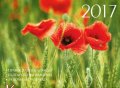 Календар за дома 2017: Православен календар, българските празници, за дома и градината